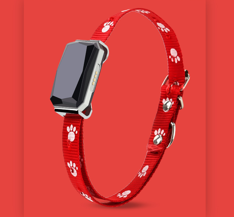 Beidou GPS Haustierhalsband – Bild 5 | LuxeStyle
