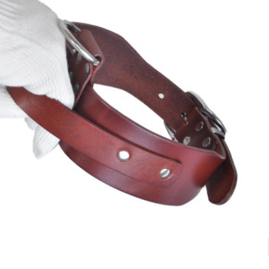 Verstellbares Hundehalsband für mittlere bis grosse Hunde – Bild 3 | LuxeStyle