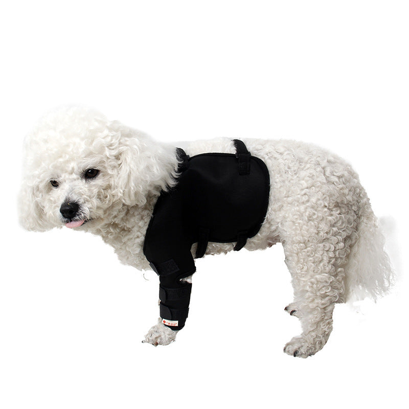 Hund Knie- und Beinschützer für draussen – Bild 3 | LuxeStyle