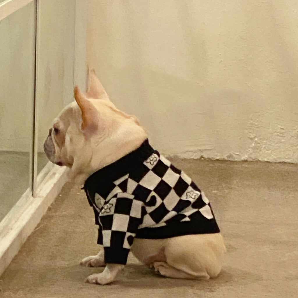 Winterpullover für Hund und Katze – Bild 5 | LuxeStyle