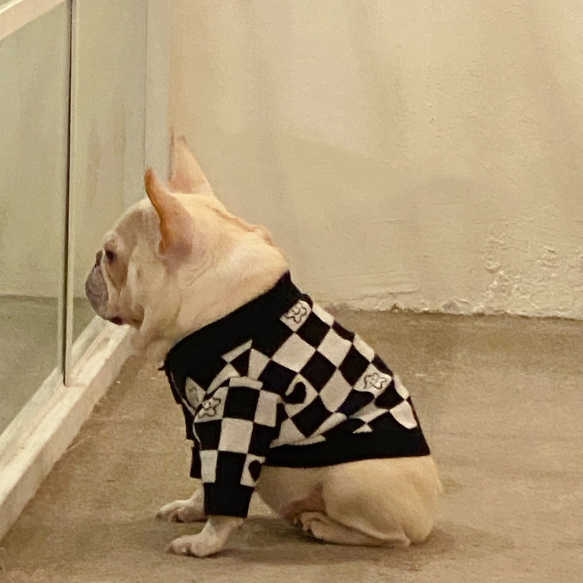 Winterpullover für Hund und Katze – Bild 5 | LuxeStyle