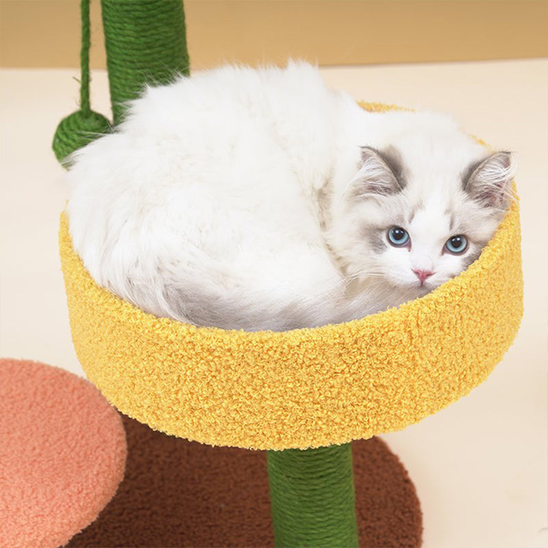 Cactus Katzenkratzbaum mit Sisal und Liegefläche