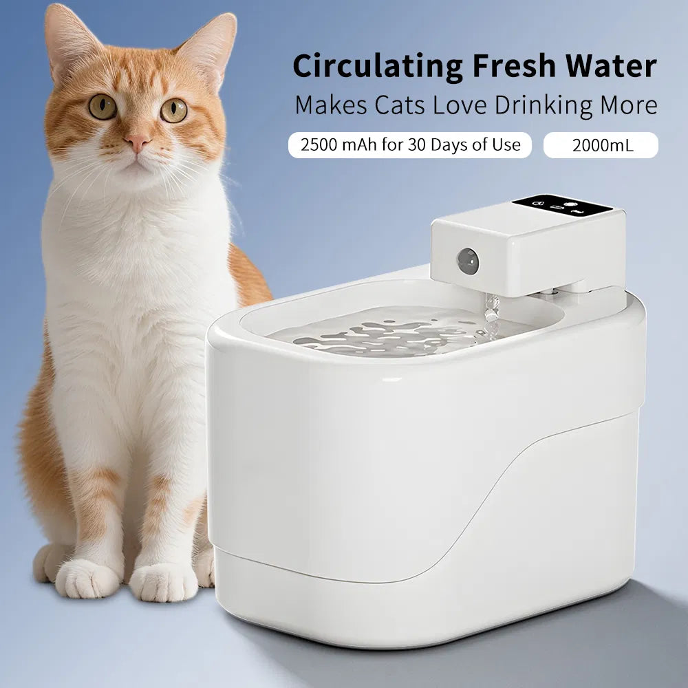 Trinkwasser-Dispenser für Haustiere
