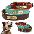 Personalisiertes Hundehalsband mit ID-Tag | LuxeStyle
