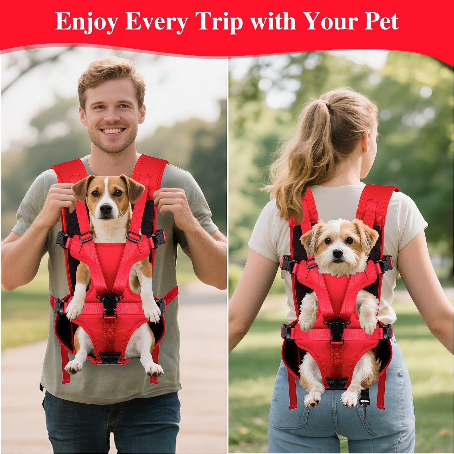 Hunde-Rucksack für kleine Vierbeiner