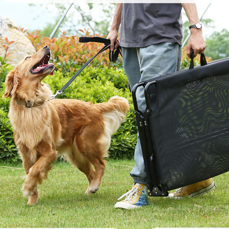 Faltbares Hundebett für alle Grössen