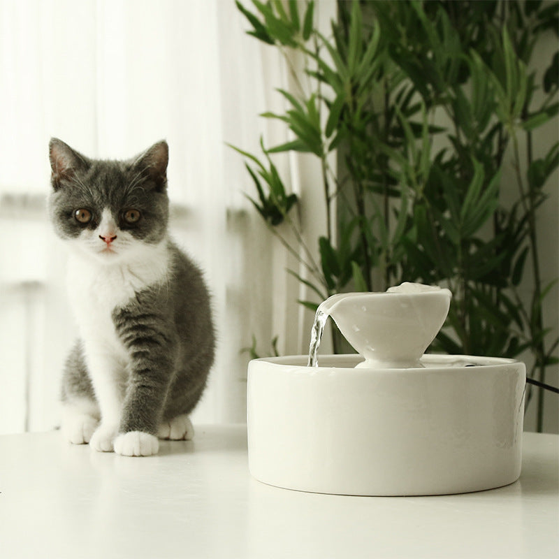 Katzen Trinkschüssel mit automatischer Zirkulation – Bild 5 | LuxeStyle