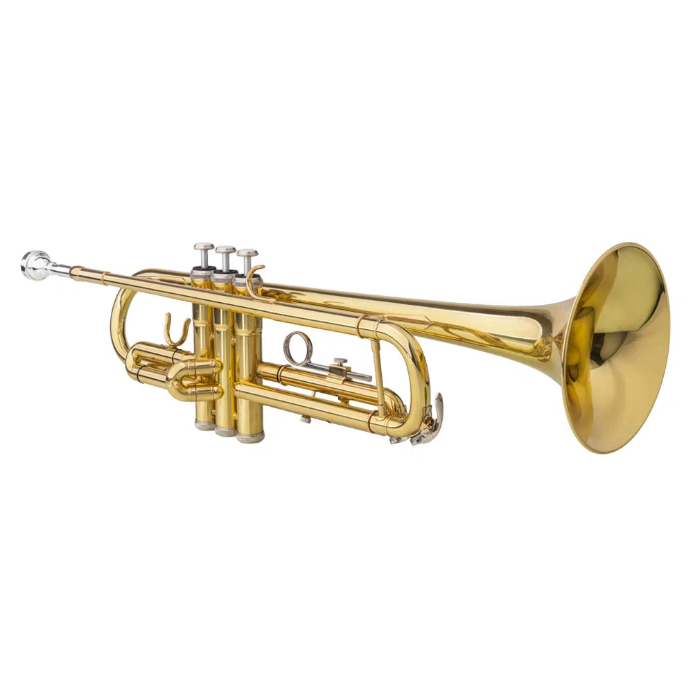 Trompeten-Handschuh-Set, Gold