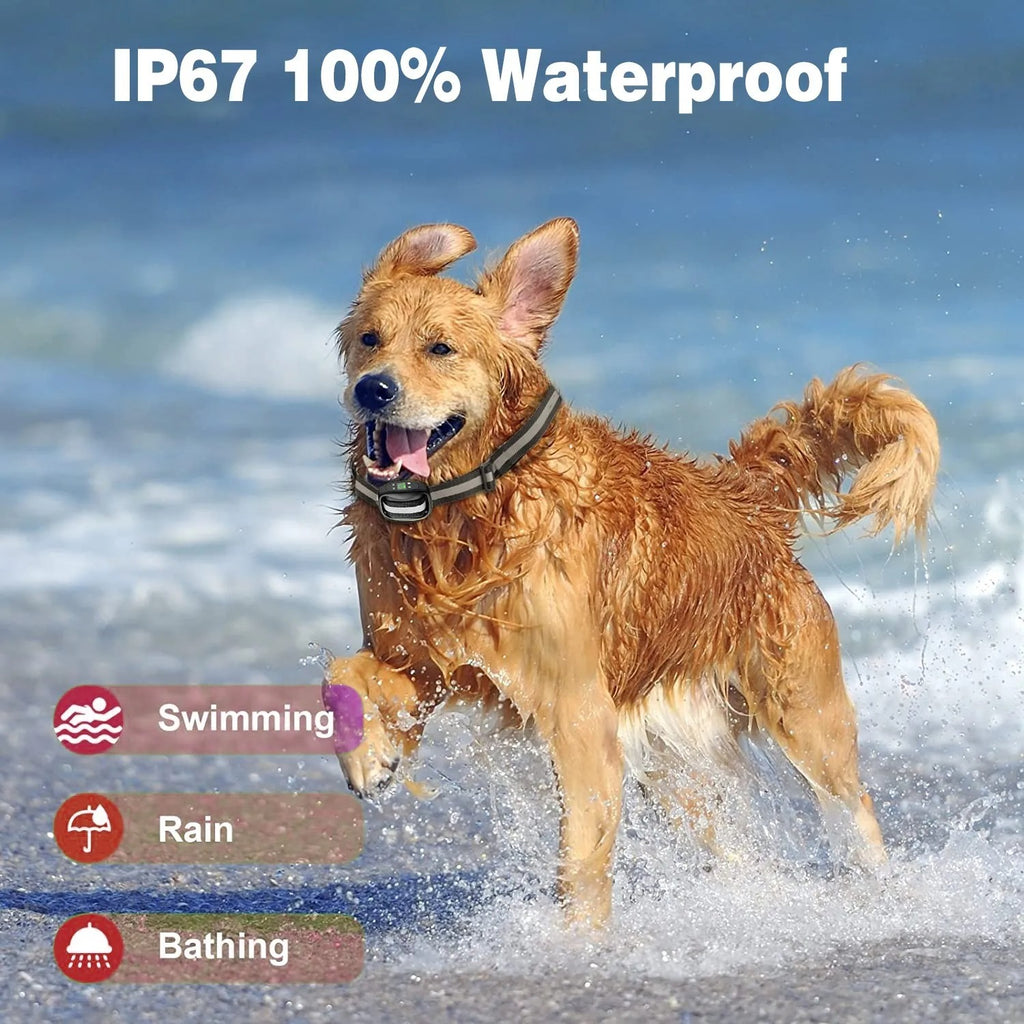 Hundetrainer mit GPS – Bild 6 | LuxeStyle