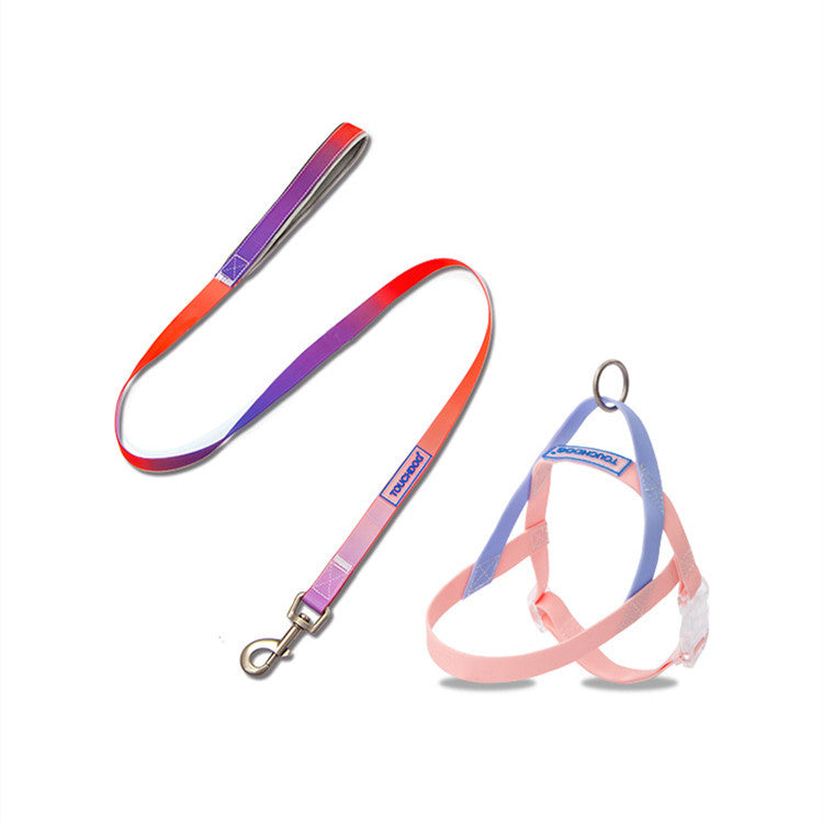 PVC Jelly Gradient Leine – Bild 5 | LuxeStyle