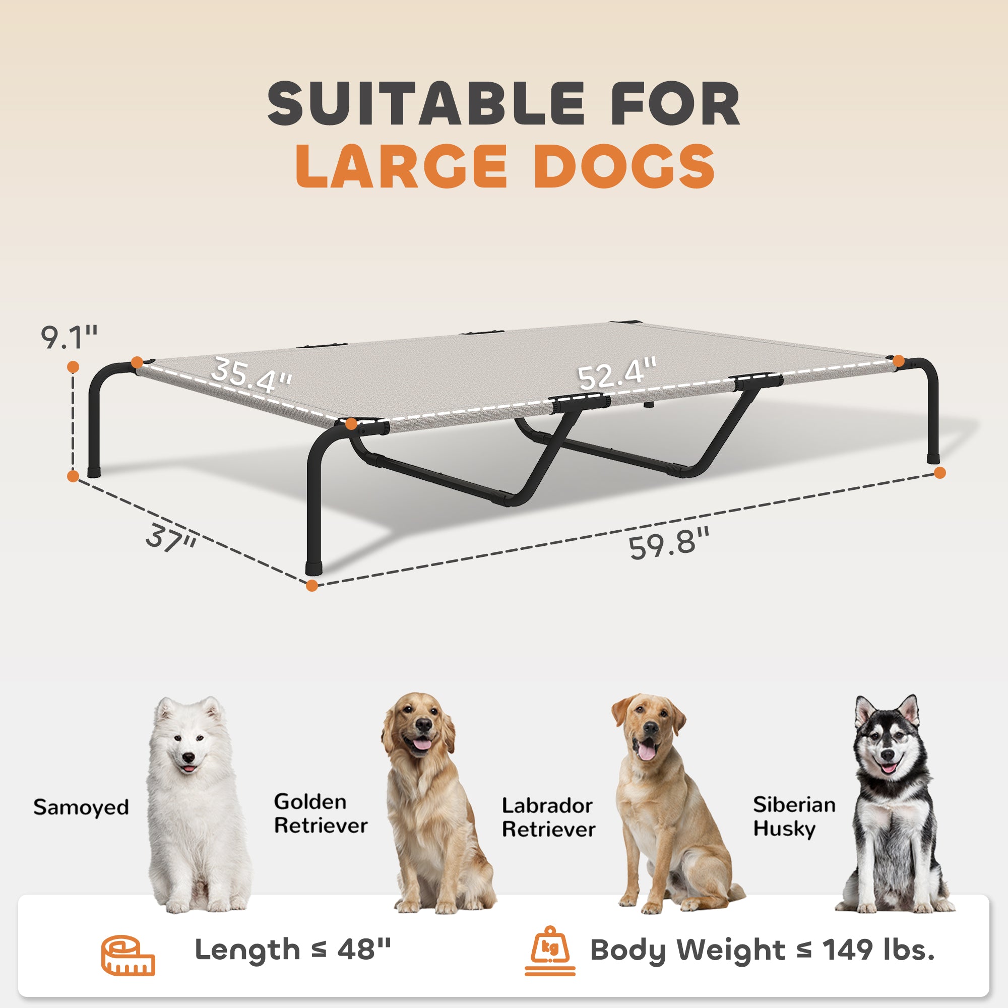 Erhöhtes Hundebett für grosse Hunde, Beige