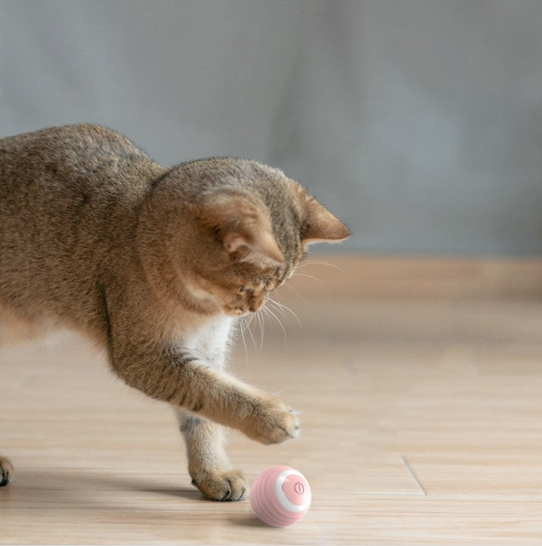 Interaktiver rollender Ball für Katzen