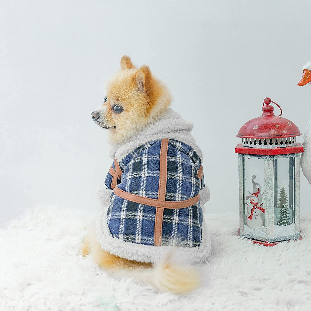 Karierte Hundekleidung