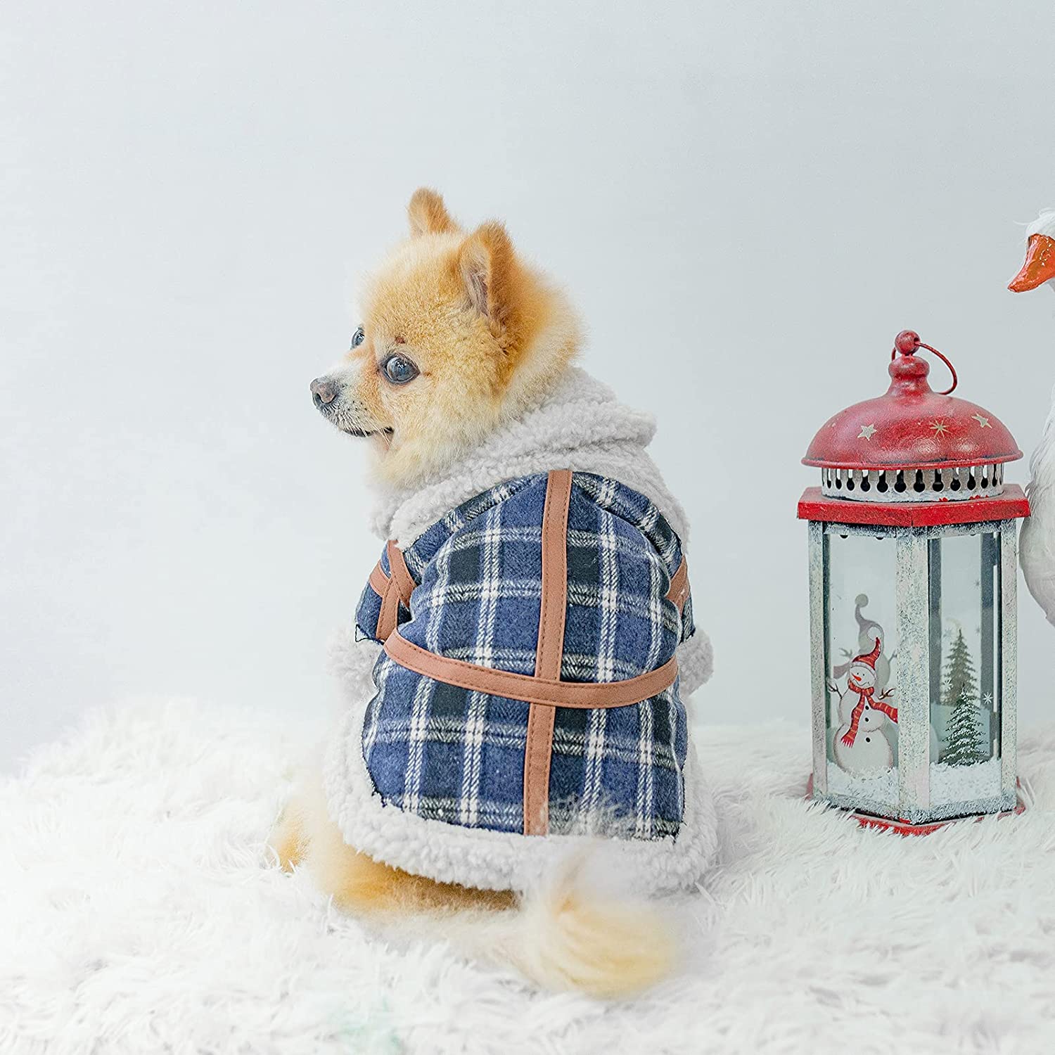 Karierte Hundekleidung
