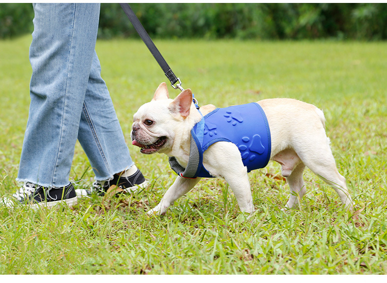 Hundegeschirr mit Pfoten-Design | LuxeStyle
