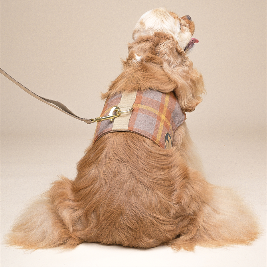 Hundegeschirr mit Leine für kleine Hunde – Bild 3 | LuxeStyle