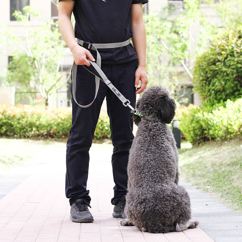 Multifunktionale Hunde-Leine zum Laufen | LuxeStyle