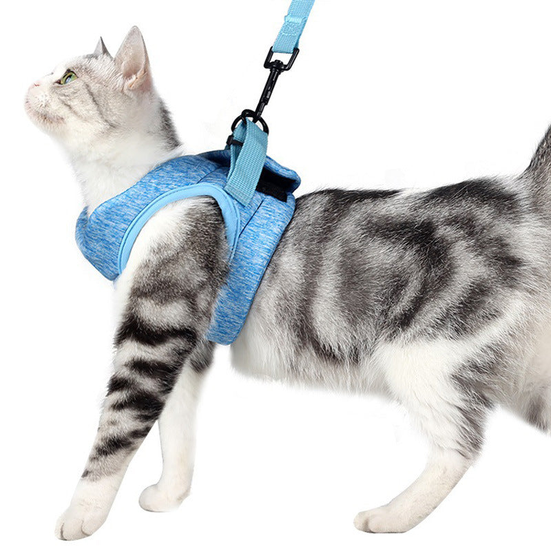 Katzenleine mit Brustgurt – Bild 5 | LuxeStyle