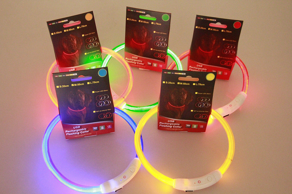 Leuchthalsband für Haustiere – USB-aufladbar
