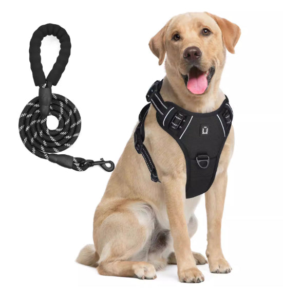 Hundegeschirr & Leine mit Ausbruchschutz – Bild 6 | LuxeStyle
