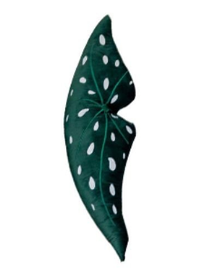 Monstera Kissen, weiss, Brokat