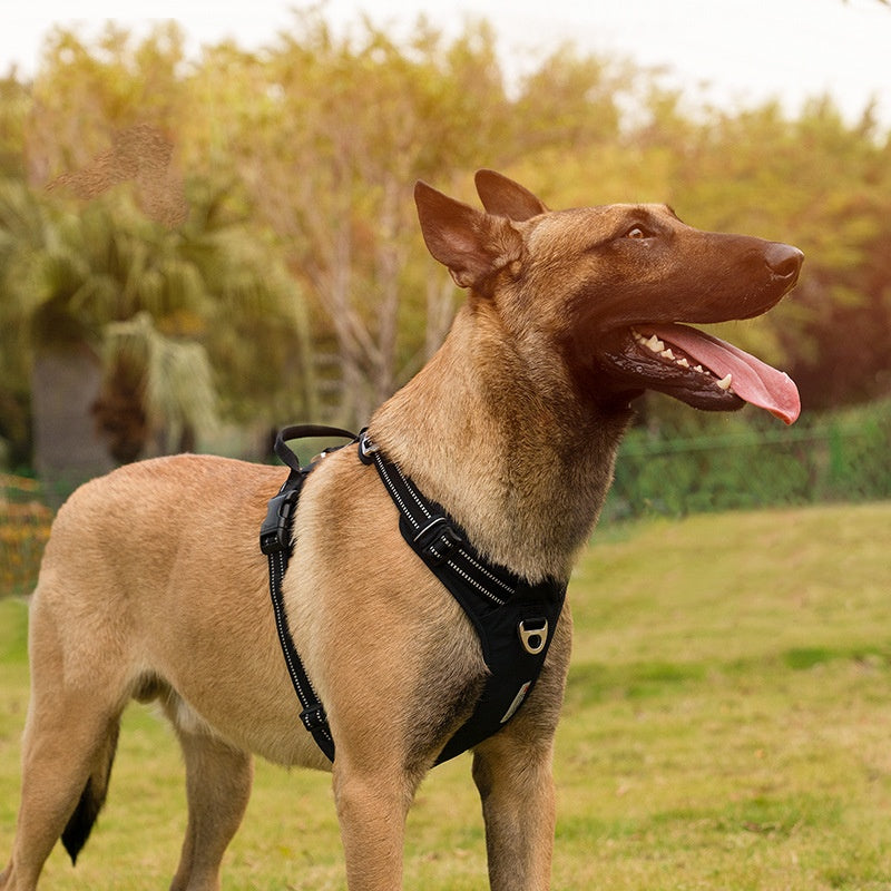 Reflektierendes Tarn-Brustgeschirr für Hunde