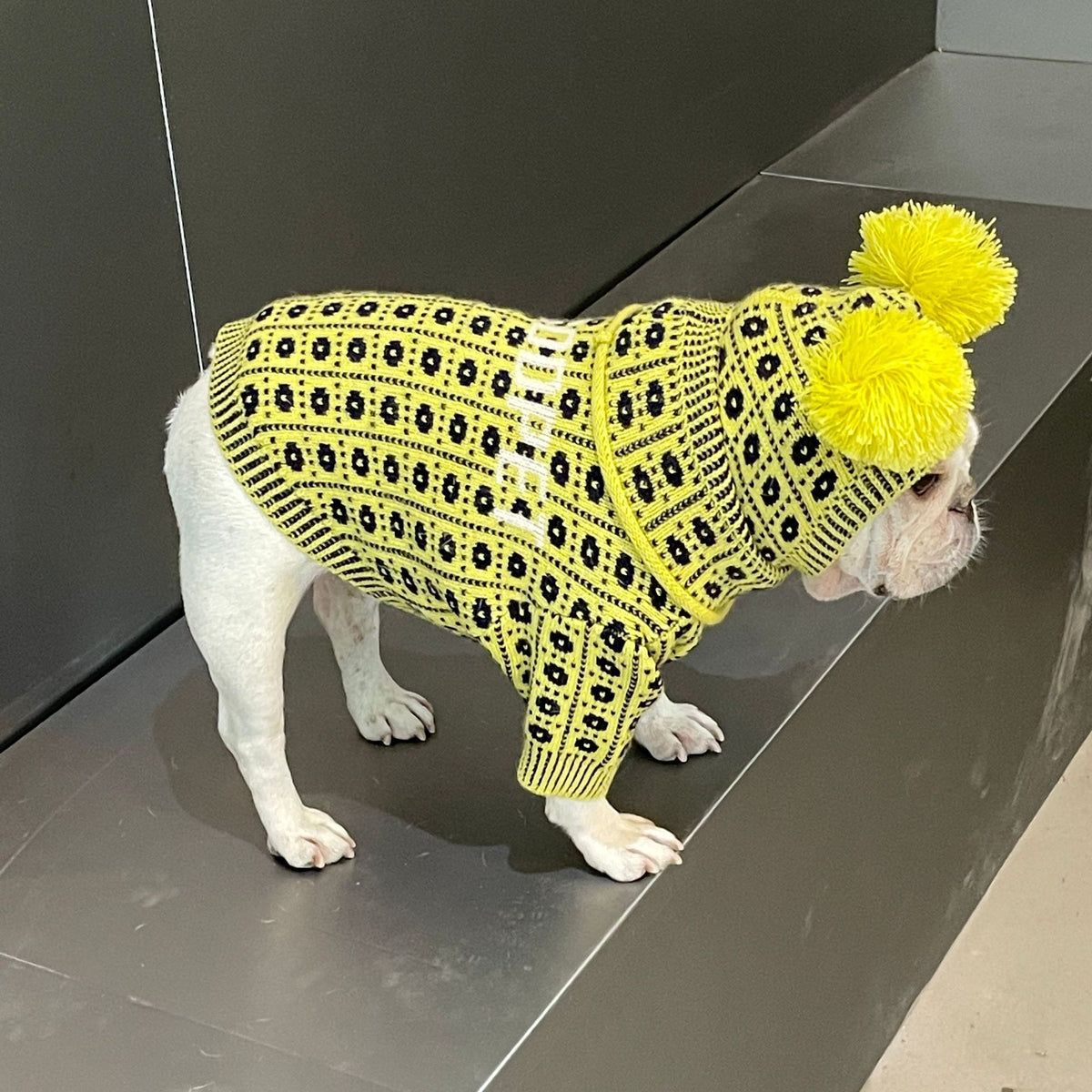 Winterpullover für Hund & Katze – Bild 20 | LuxeStyle