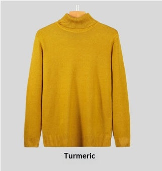 Herren Rollkragenpullover