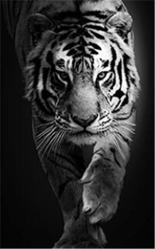 Tiger-Kunstdruck auf Leinwand – Bild 7 | LuxeStyle