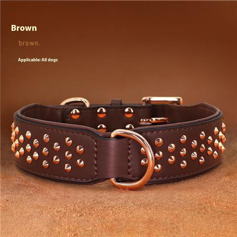 Hundehalsband – Bild 4 | LuxeStyle