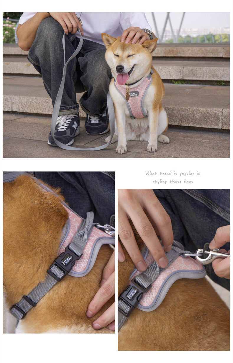 Hundegeschirr im Westen-Stil – Bild 5 | LuxeStyle