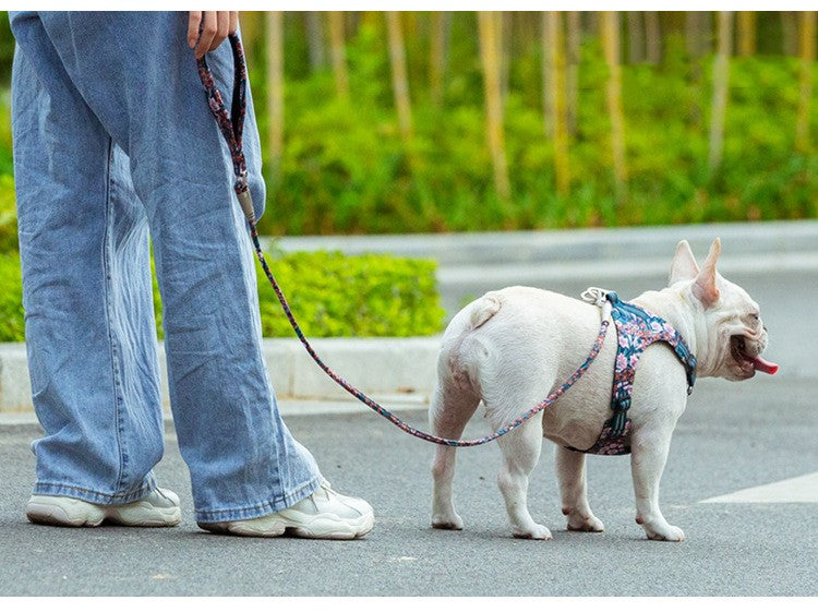 Hunde-Leine «Floral Round» | LuxeStyle