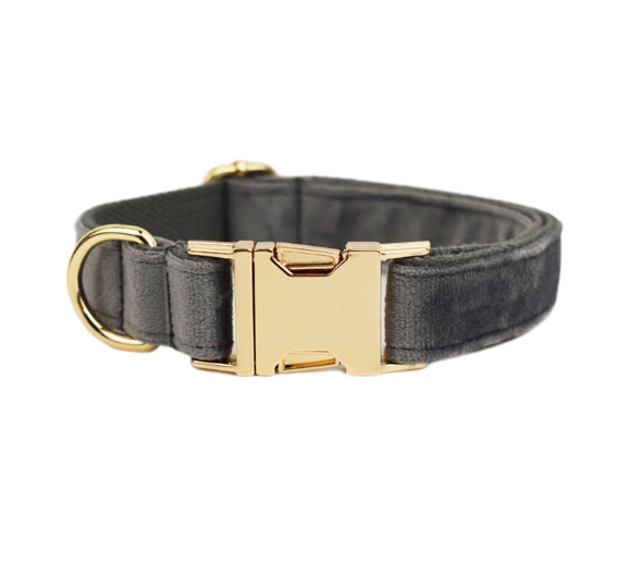 Samtiges Haustierhalsband mit Leine – Bild 1 | LuxeStyle