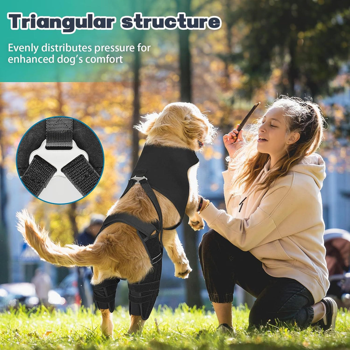 Hundehindbeinschutzgurt – schwarzer Polyestergurt – Bild 2 | LuxeStyle