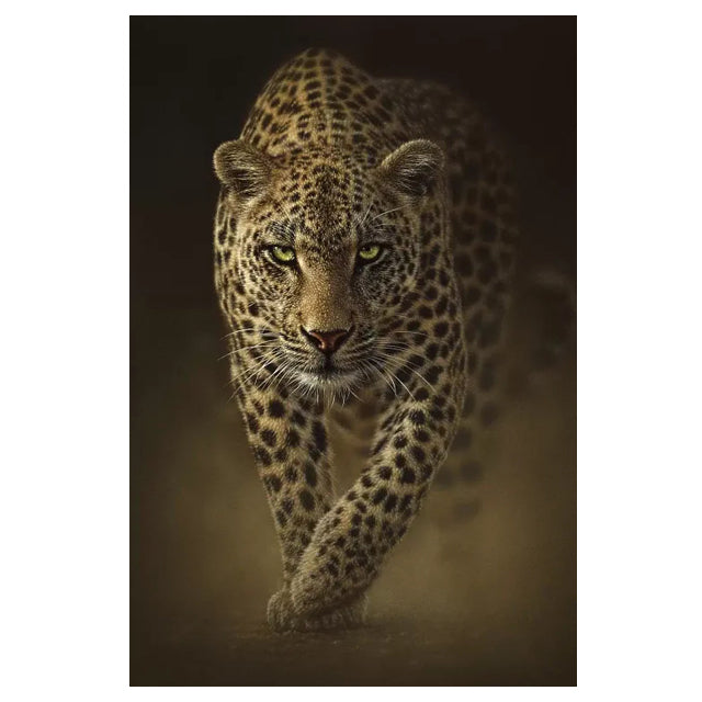 Afrikanischer Wildtiger Leinwandbild – Bild 4 | LuxeStyle
