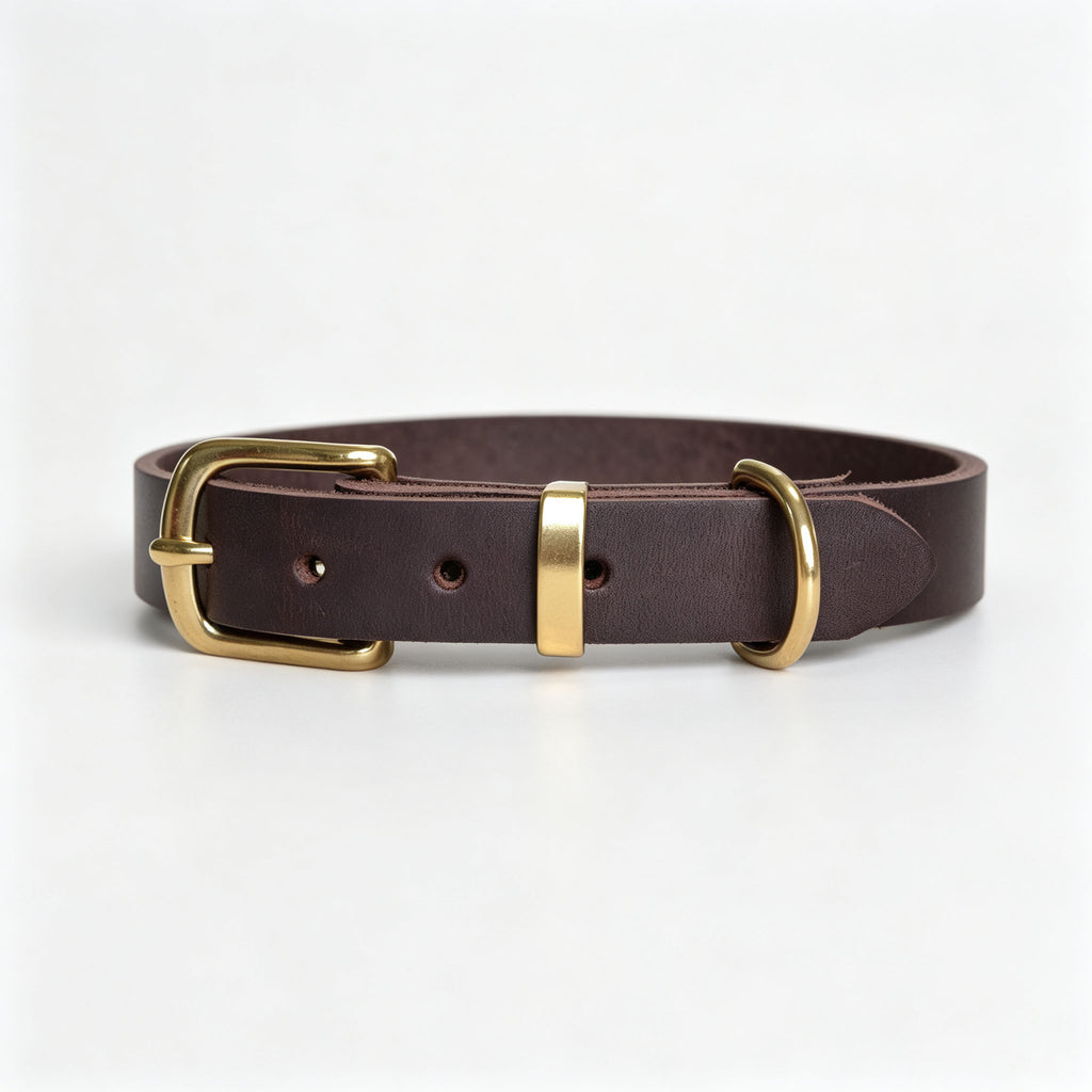 Vintage-Halsband für Haustiere mit Messing