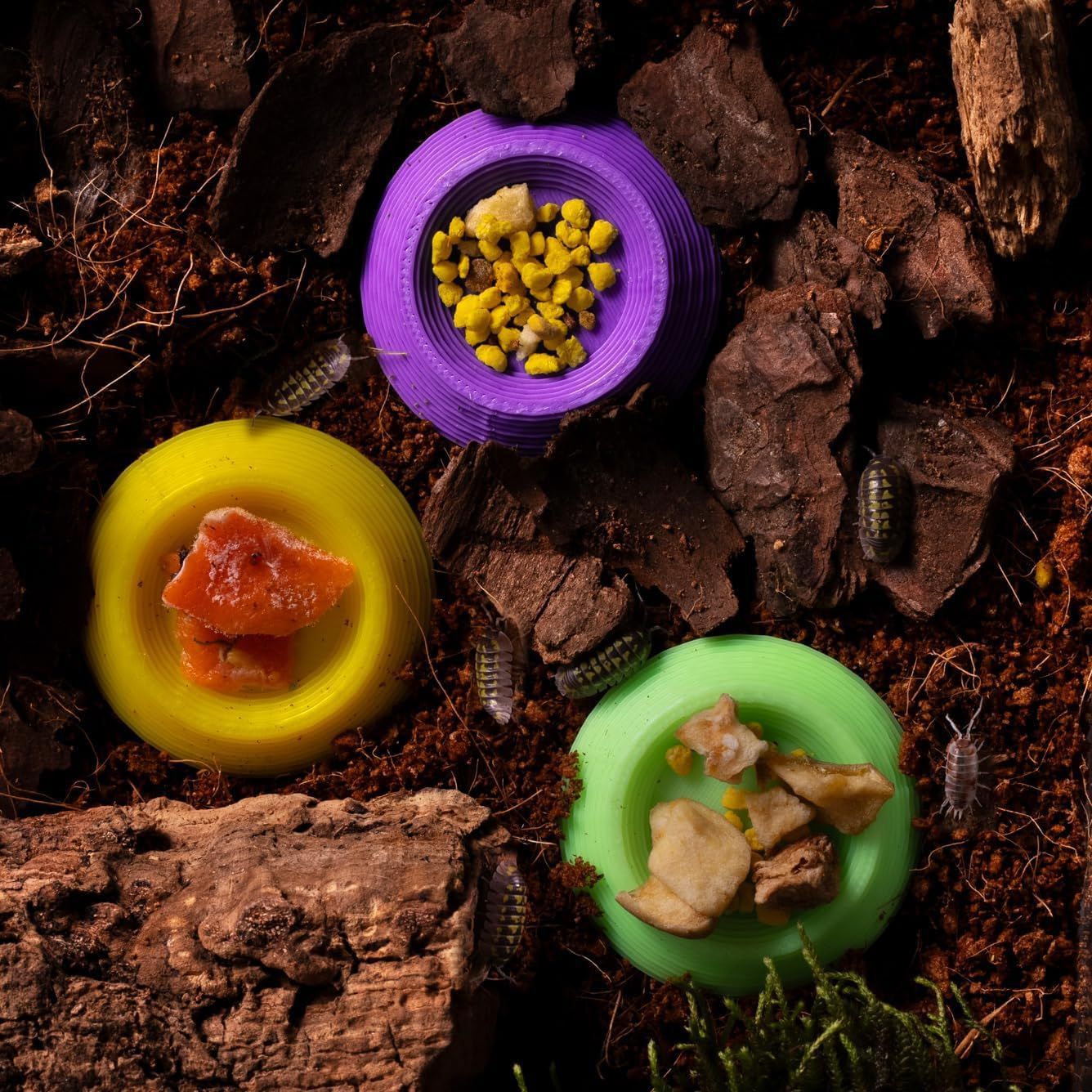 Mini-Futterschalen für Heimtiere, 12er-Set