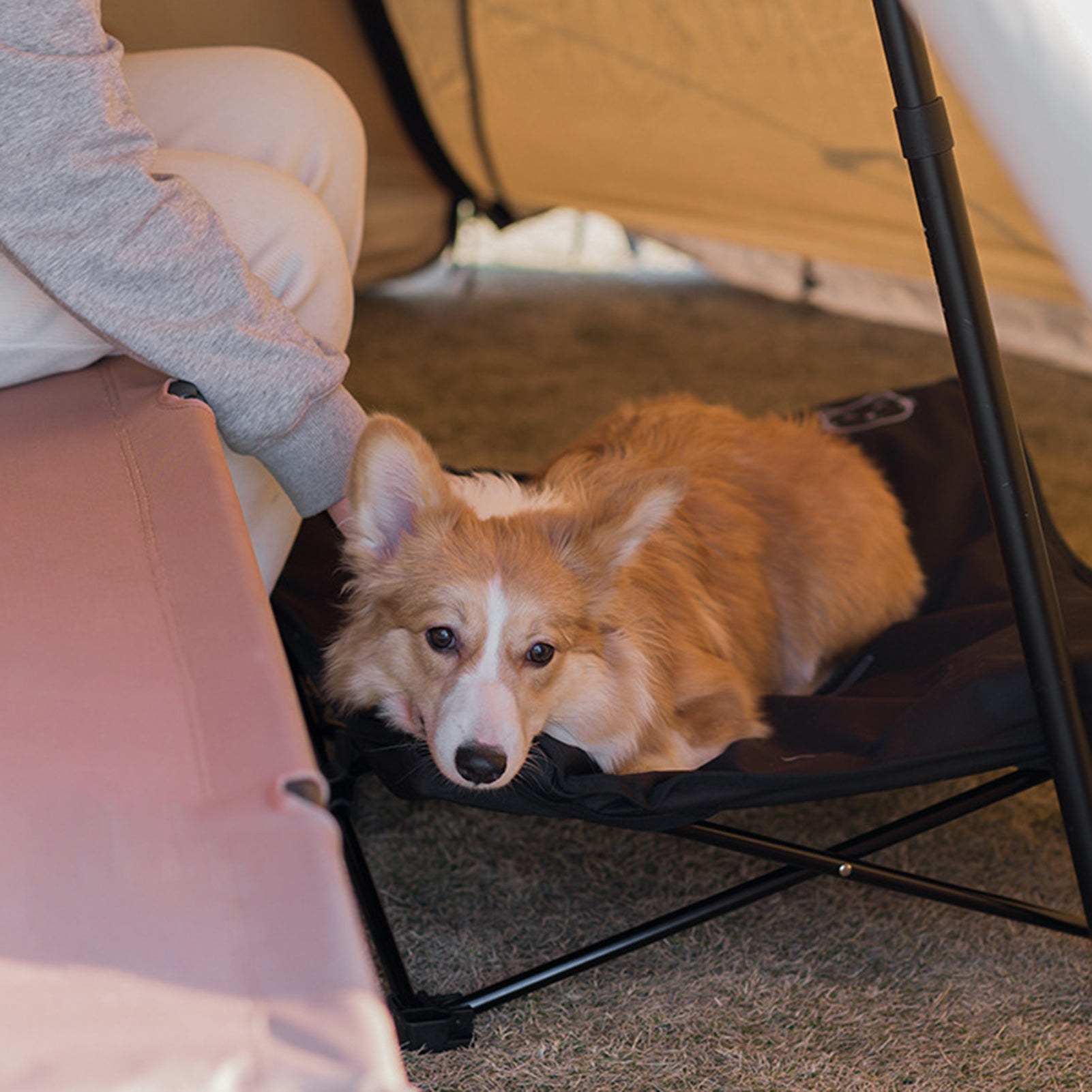 Outdoor Faltbett für Haustiere