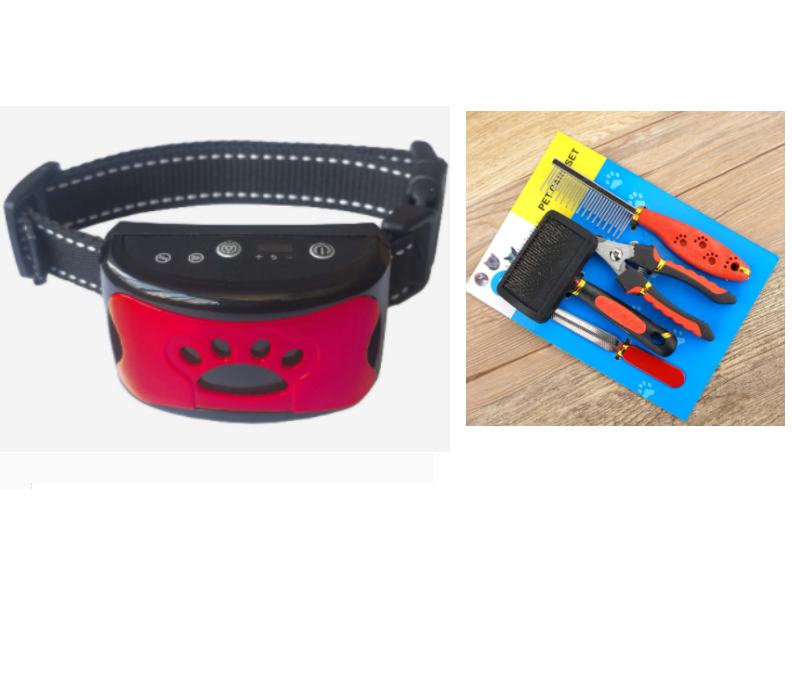 Hundestraining-Kollektiv – Bild 2 | LuxeStyle