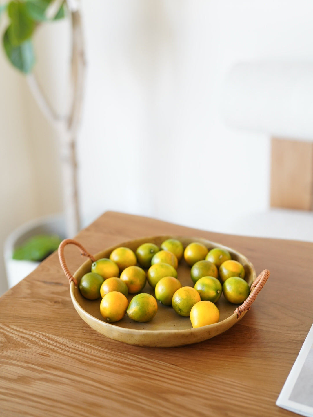 Keramik-Obstteller mit Seilgriff – Bild 8 | LuxeStyle