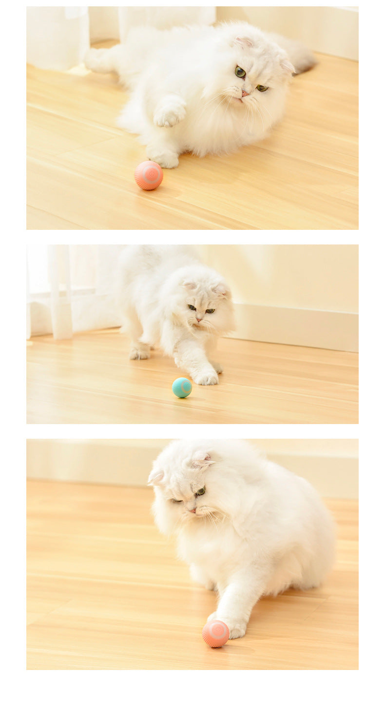 Intelligenter Rollball für Katzen