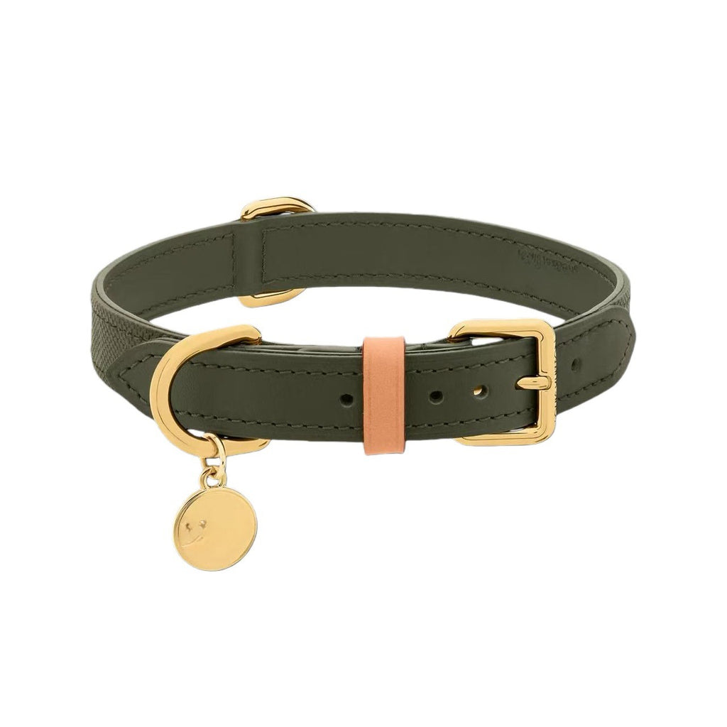 Lederhalsband für Haustiere