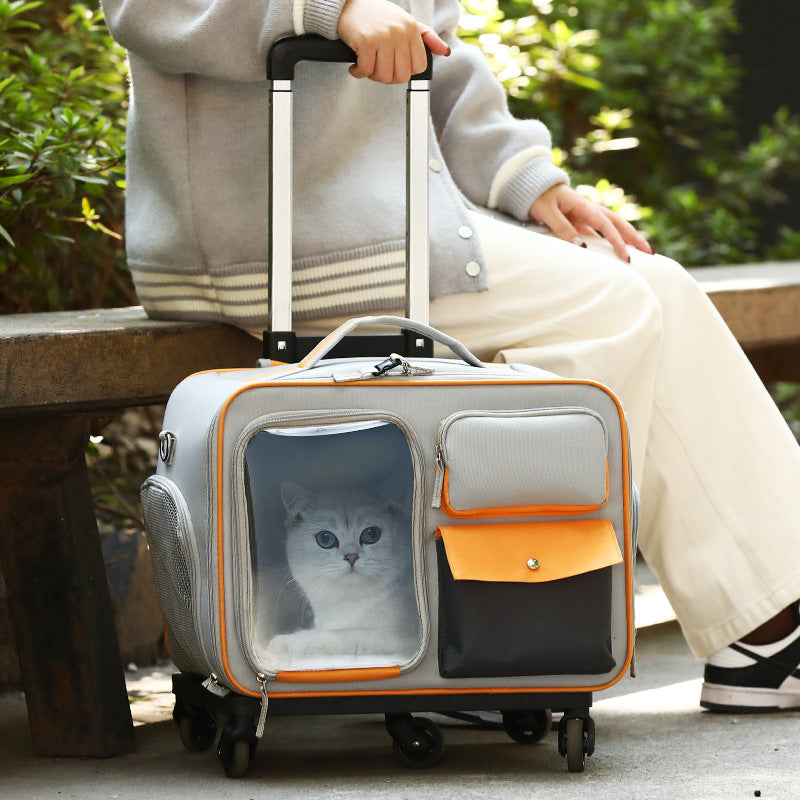 Katzenrucksack mit 32L Kapazität
