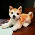 Akita-Plüschhund – Bild 3 | LuxeStyle