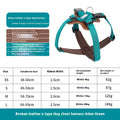 Hunde-Halfter mit Seil