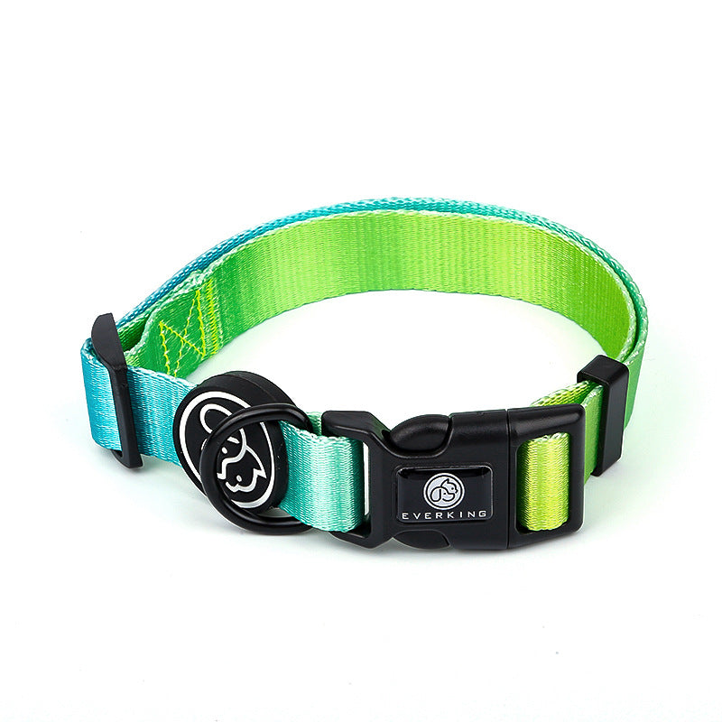 Hundehalsband und Leine für Samojeden | LuxeStyle