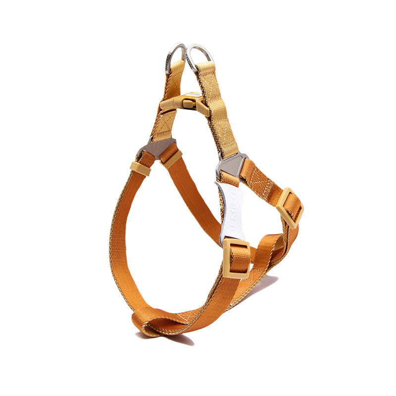 Hundehalsband mit Leine