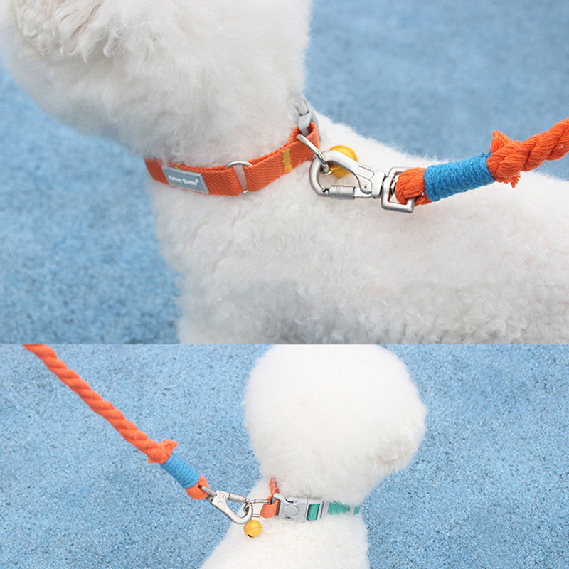 Halsband & Leine Set im Farbmix mit Glöckchen – Bild 2 | LuxeStyle