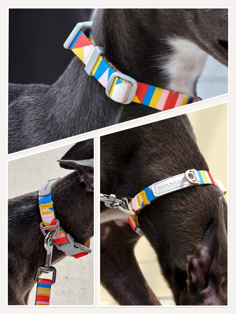 Nylon Zugseil für Hunde | LuxeStyle
