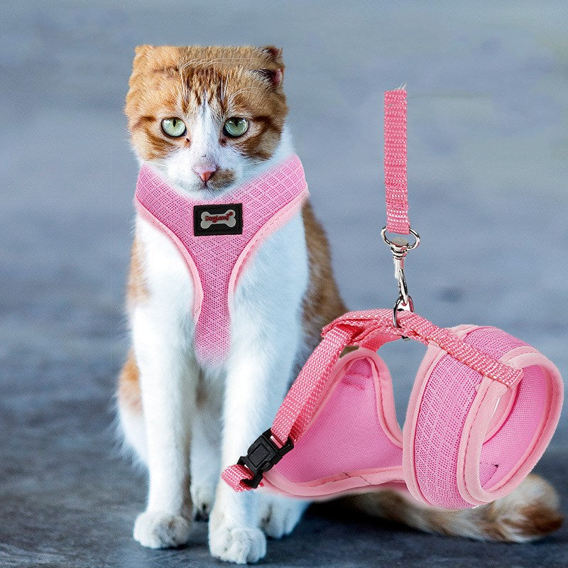 Anti-Rutsch Katzengeschirr – Bild 3 | LuxeStyle